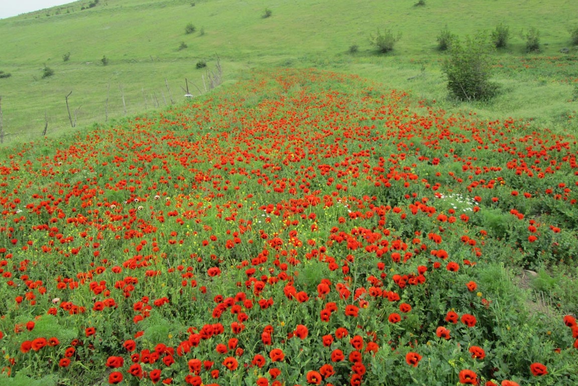 روستای جوبن، جوبن شهرستان رودبار، جوبن گیلان،جوبن رستم آباد، روستای جوکین، جوبن کجاست؟ 